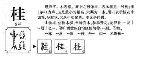 桂 意思|桂的意思,桂的解释,桂的拼音,桂的部首,桂的笔顺